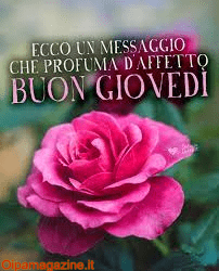 immagini buongiorno buon giovedì