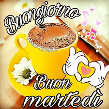 immagini buon martedì