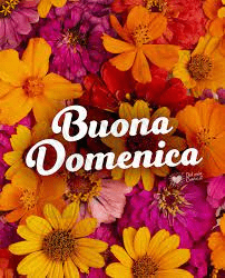 immagini buongiorno buona domenica