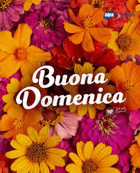 
immagini buona domenica nuove