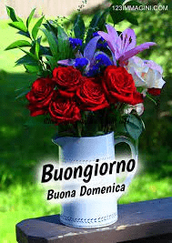 immagini buongiorno buona domenica