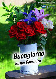 immagini buona domenica nuove