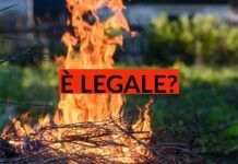 Bruciare le sterpaglie