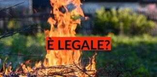 Bruciare le sterpaglie