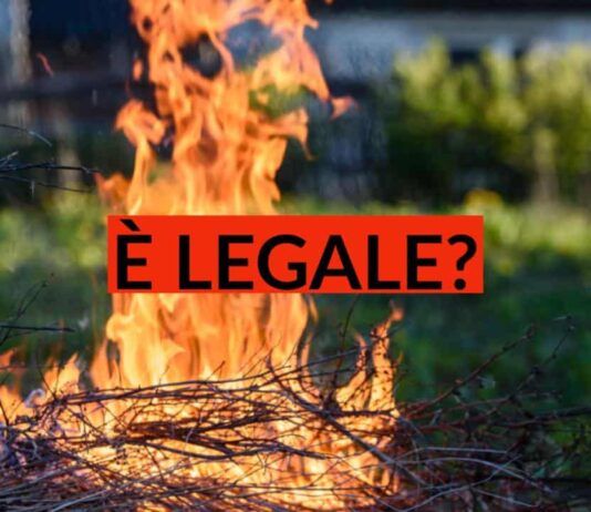 Bruciare le sterpaglie