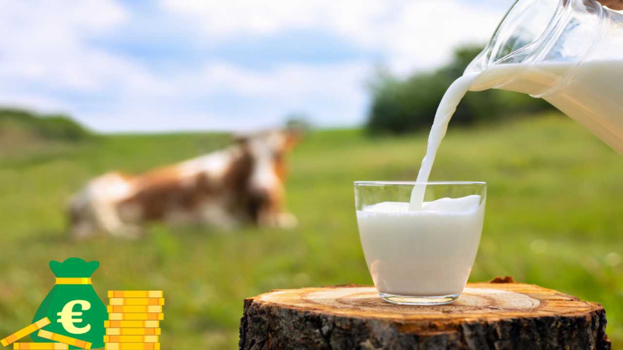 Il costo del latte