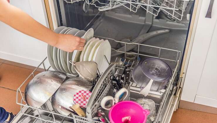 Wash in the dishwasher for a short time