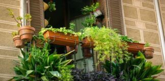 Balcone
