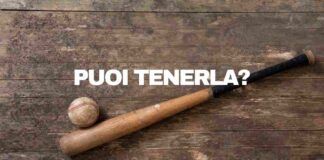 mazza da baseball