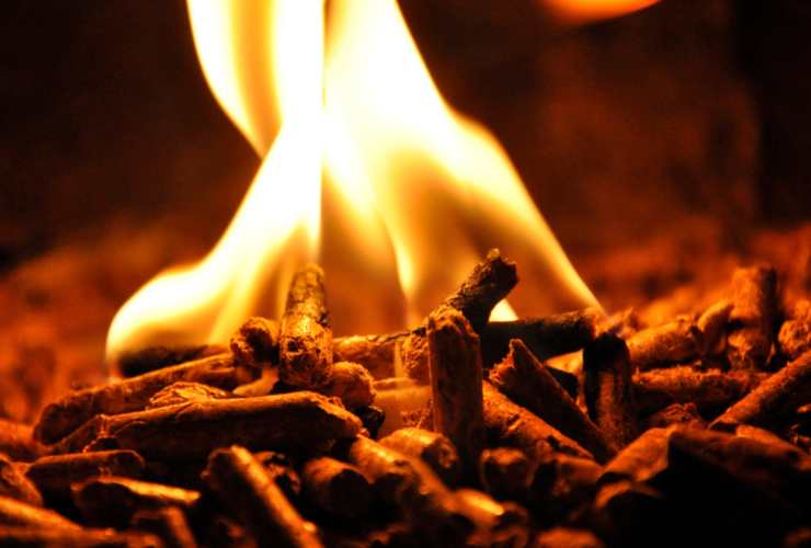 Biomassa che brucia
