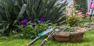 Decorazione giardino
