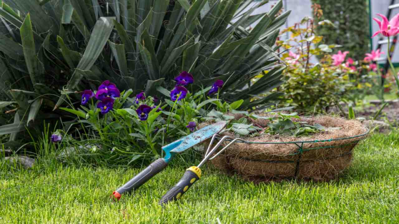 Decorazione giardino