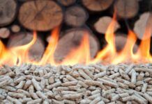 Energia elettrica prodotta dalle biomasse