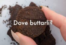 Fondi di caffè