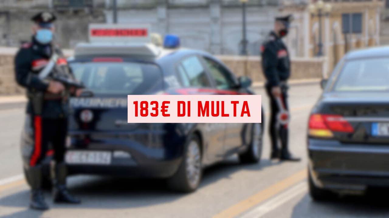 183 euro di multa