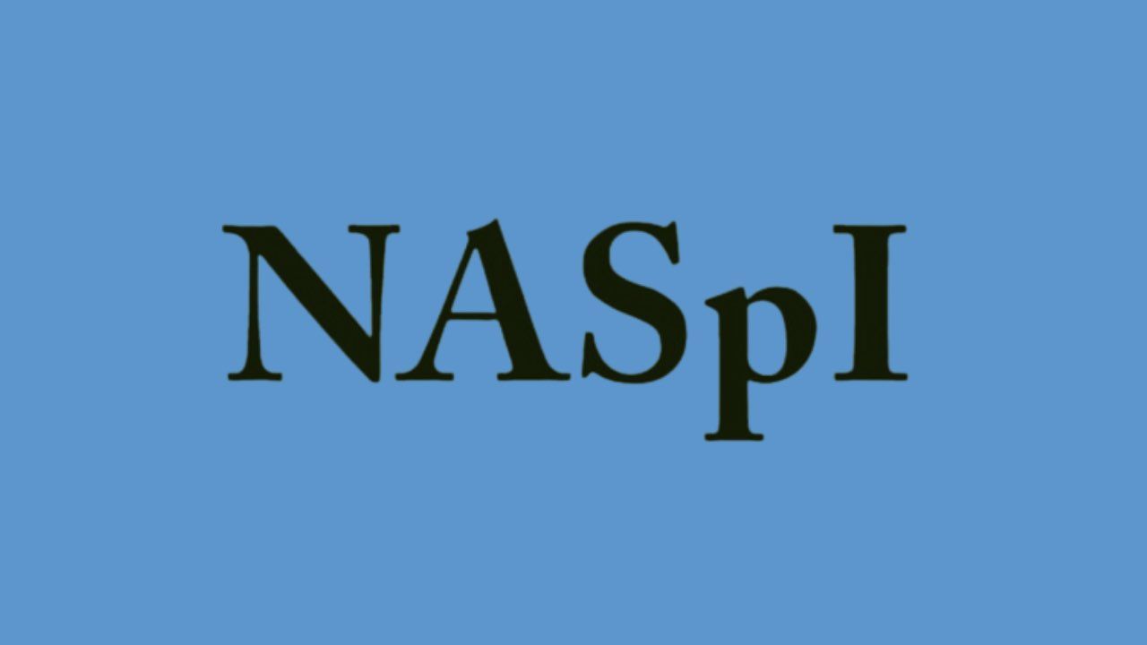 NASpI logo