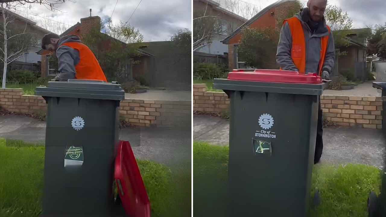 Fix litter boxes in australia, earn what doctor earns: no