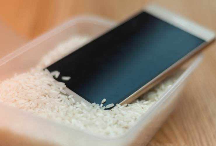 Cellulare in ciotola di riso
