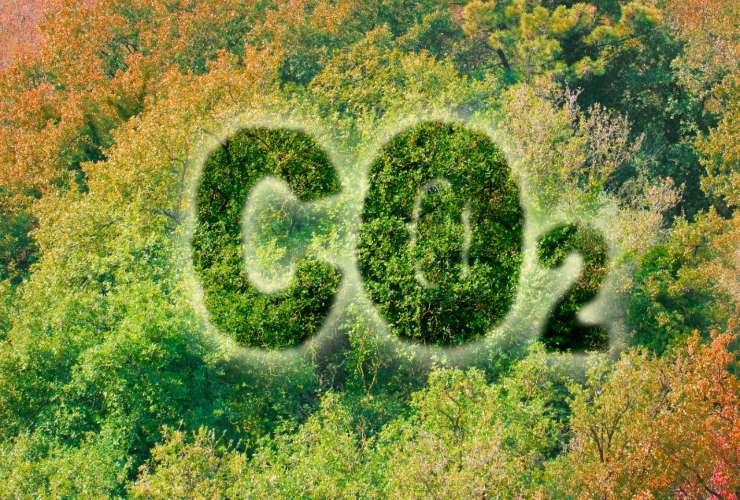Emissione di CO2