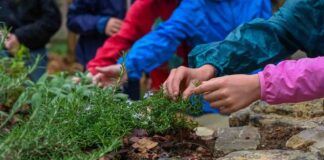 Aule Natura WWF