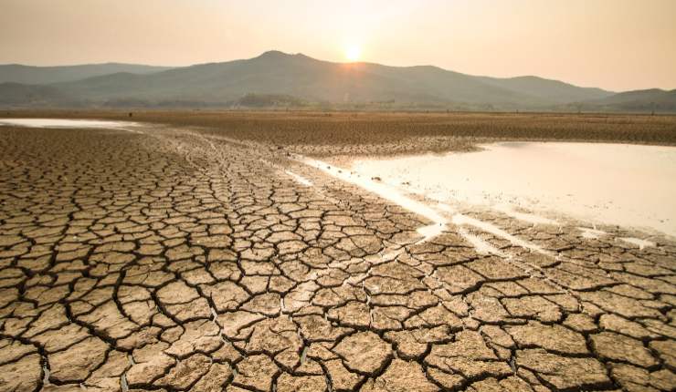 Cambiamento climatico e problema alimenti