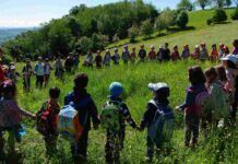 Educazione diffusa