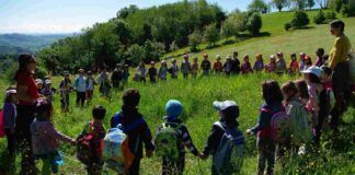 Educazione diffusa