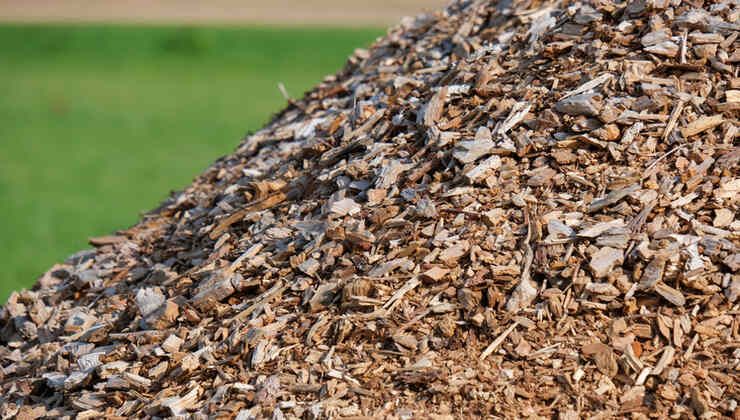 Frammenti di legno per fare il pellet