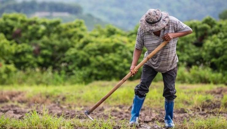 Pensione nel settore agricolo