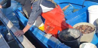 Pesca abusiva