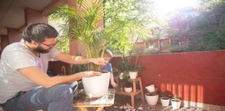 Piante sul terrazzo