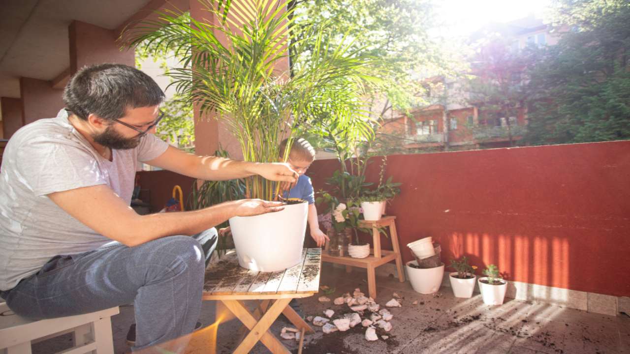 Piante sul terrazzo