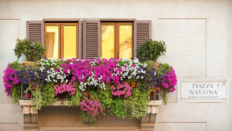 Posizione dei vasi sul balcone