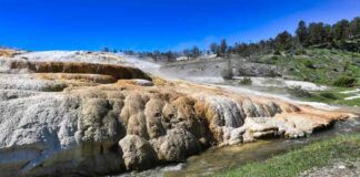 Scoperto ecosistema in sorgente termale