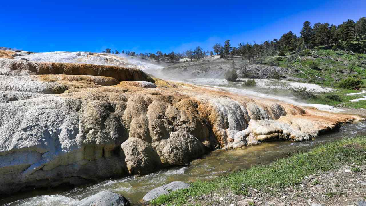 Scoperto ecosistema in sorgente termale