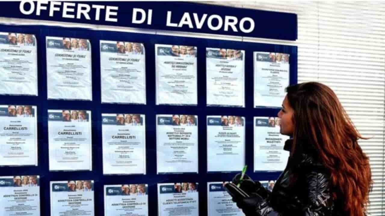 offerte lavoro città