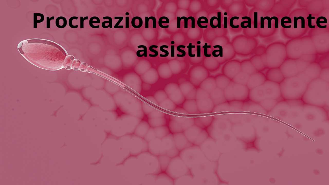 procreazione medicalmente assistita