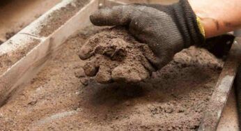 Le 7 preziose idee per riutilizzare la cenere della stufa a pellet: non buttarla